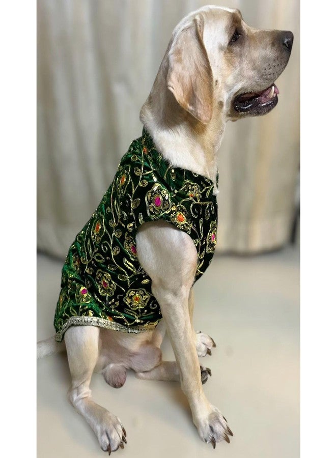 Lulala Festive Dog Sherwani in Green Velvet - Heavily Embroidered Ethnic Outfit for Dogs | Traditional Indian Pet Clothing for Weddings, Diwali and Parties for Dogs - Image 2